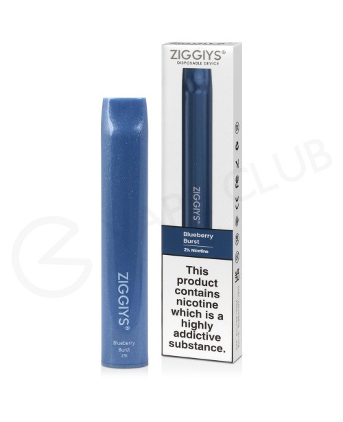 Blueberry Burst Ziggiys G6 Disposable Vape