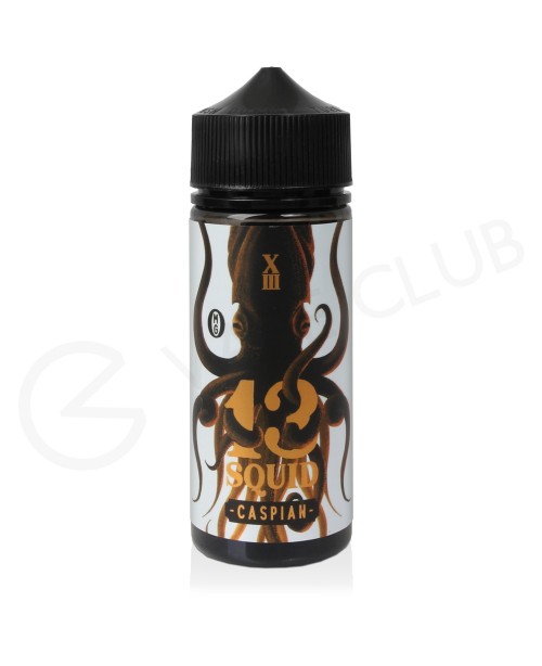 Caspian Shortfill E-Liquid by 13 Squid 100ml